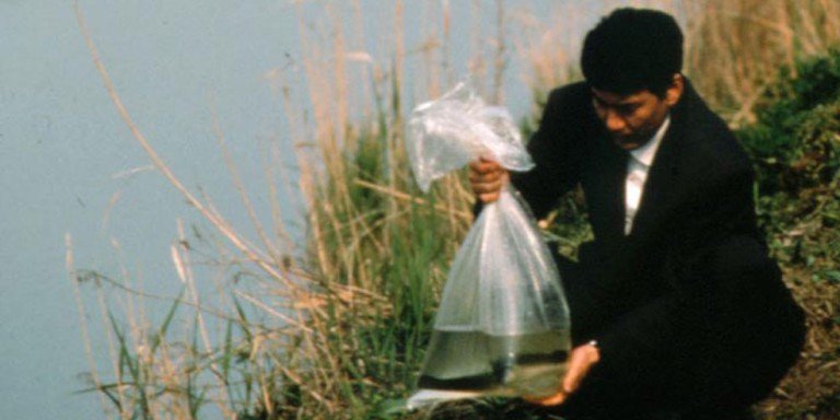 The Eel [1997]: A Fascinating Tale of Social Isolation and Redemption