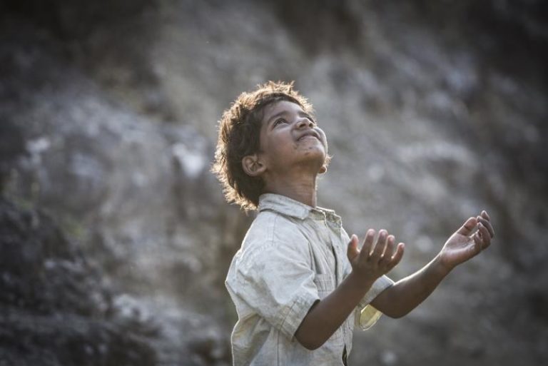 Lion [2016]: Contaminated Peace of a Lost Child