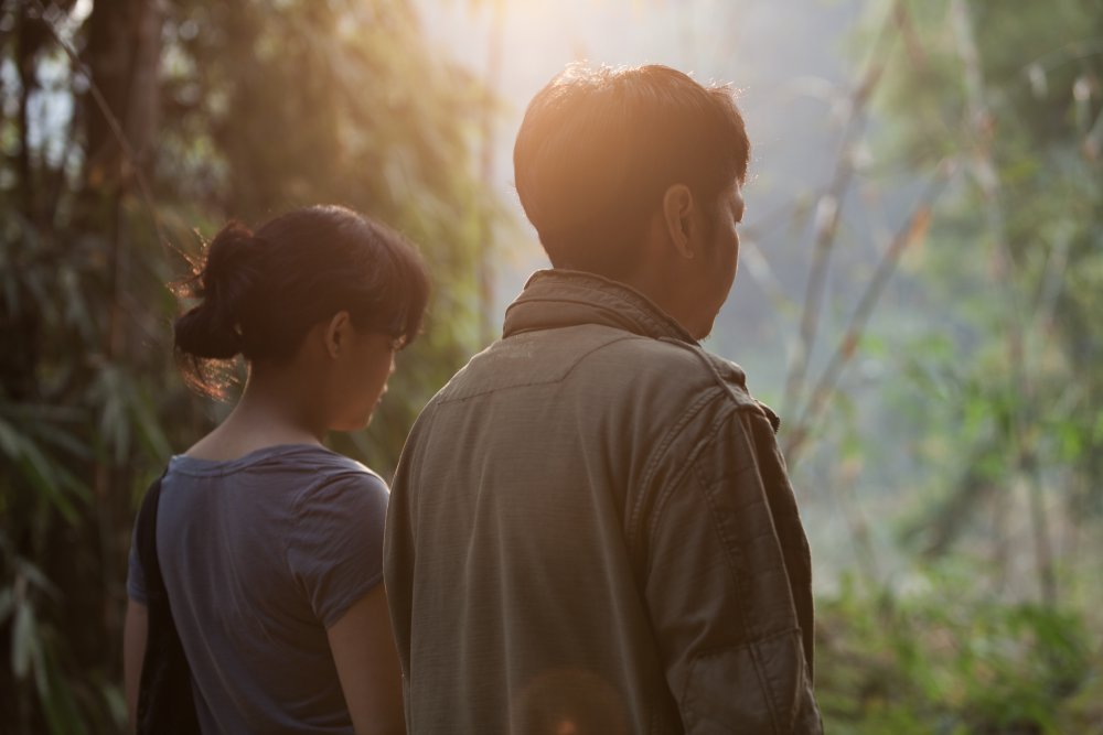50 Best Films of 2017