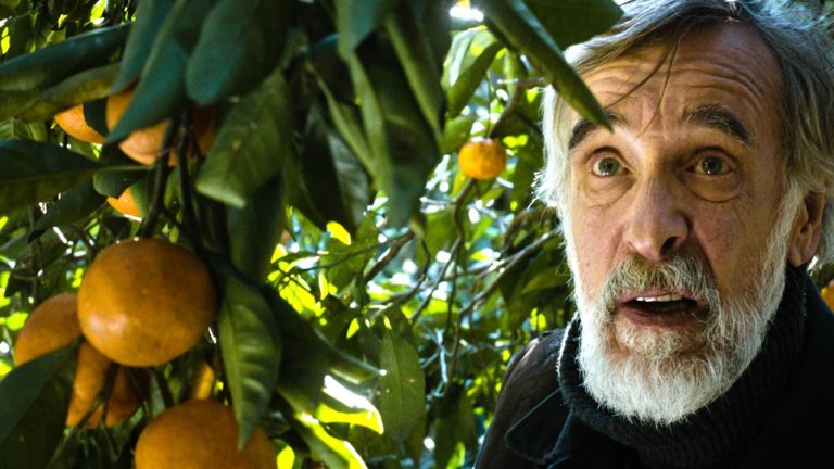 Tangerines Review [2013]: A Timely & Topical Drama About The Futility Of War, Hatred & Conflict
