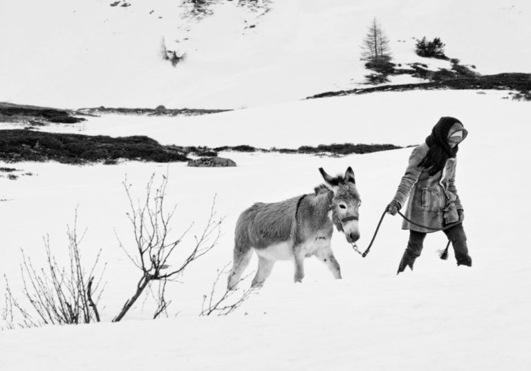 Fortuna [2018]: ‘Locarno’ Review