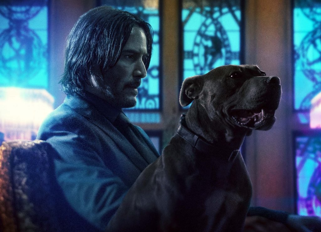 John Wick with his dog in John Wick 3 Parabellum