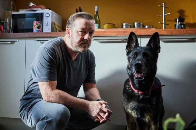 After Life Netflix (Season 1) Netflix Review: A Matured Ricky Gervais