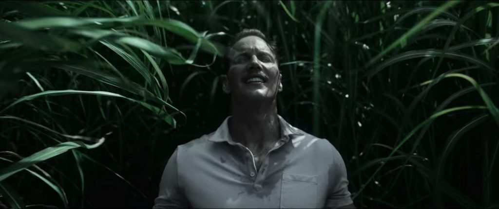 In the Tall Grass Netflix