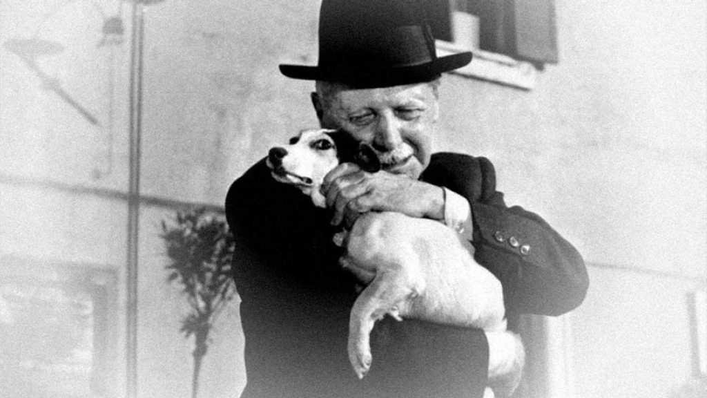 Unconventional Dog Movies