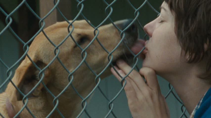 Unconventional Dog Movies