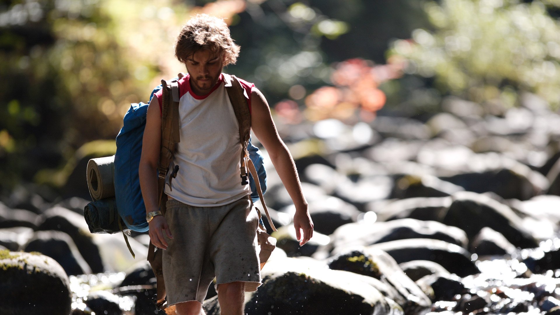 Into the Wild Chris
