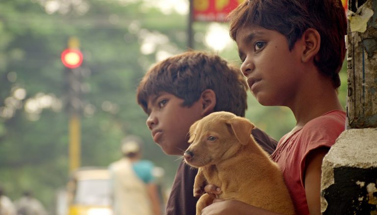 The 20 Best Regional Indian Movies of the 2010s Decade