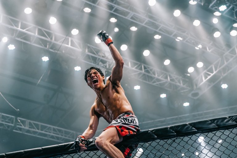 Chasing Dream [2020]: ‘NYAFF’ Review – Where MMA meets a Reality Show