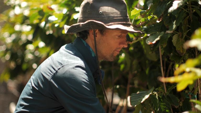Kiss the Ground (2020) Netflix Review: A Groundbreaking Nature Manifesto On Reversing Global Warming
