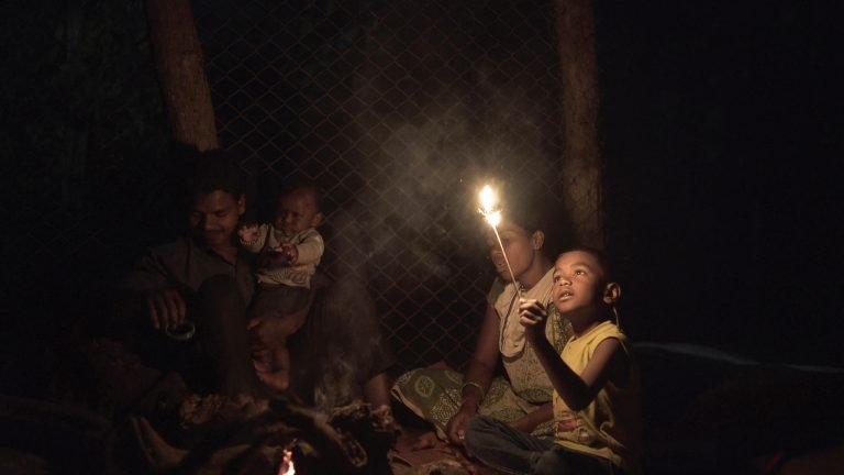 A Rifle and a Bag [2020]: ‘DIFF’ Review – A quiet look in the life of an ex naxalite family.