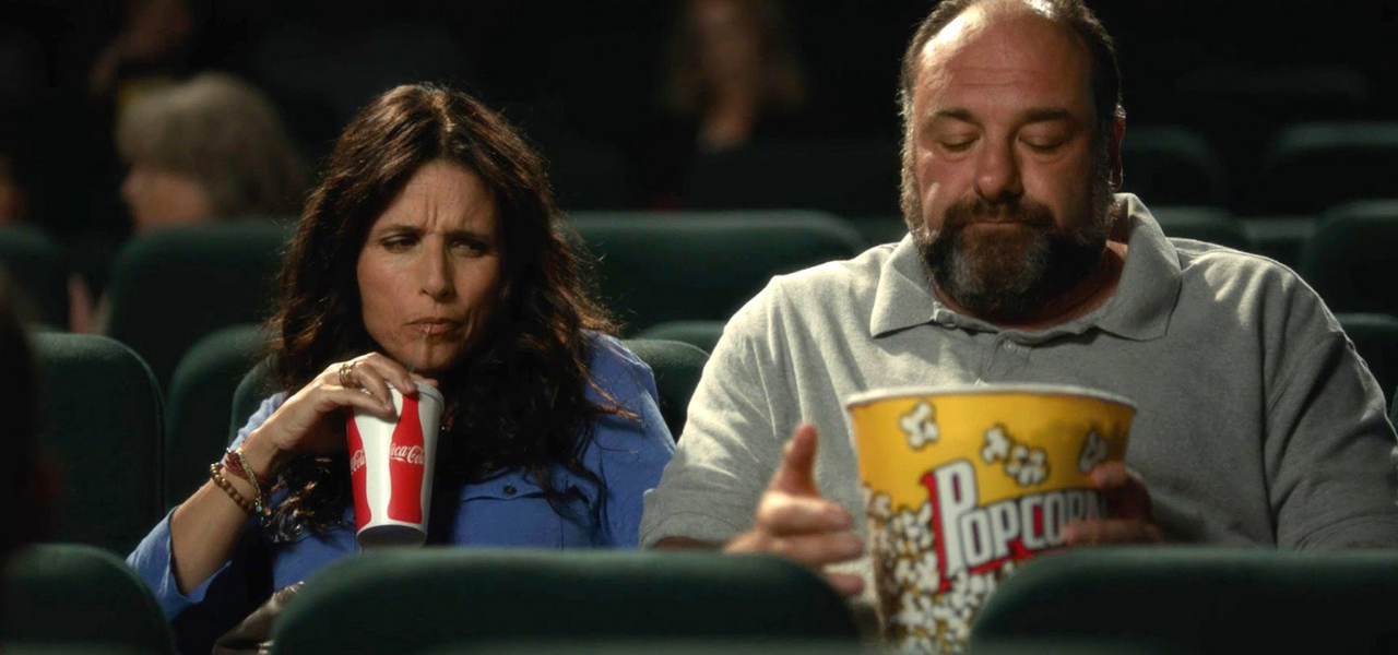Romantic Comedy Movies - Enough Said (2013)