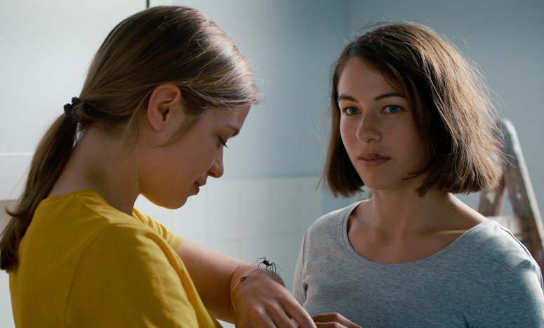 The Girl and the Spider