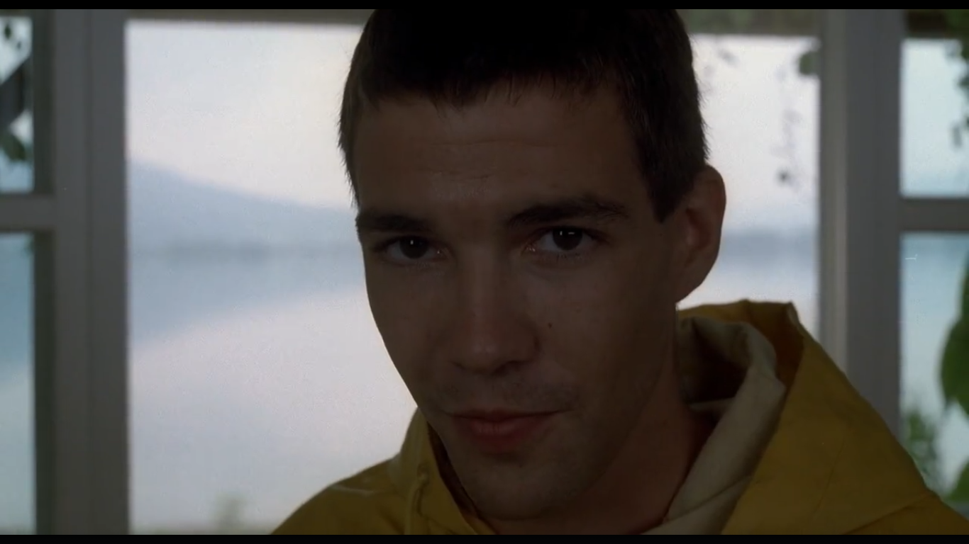 Paul in Haneke's film
