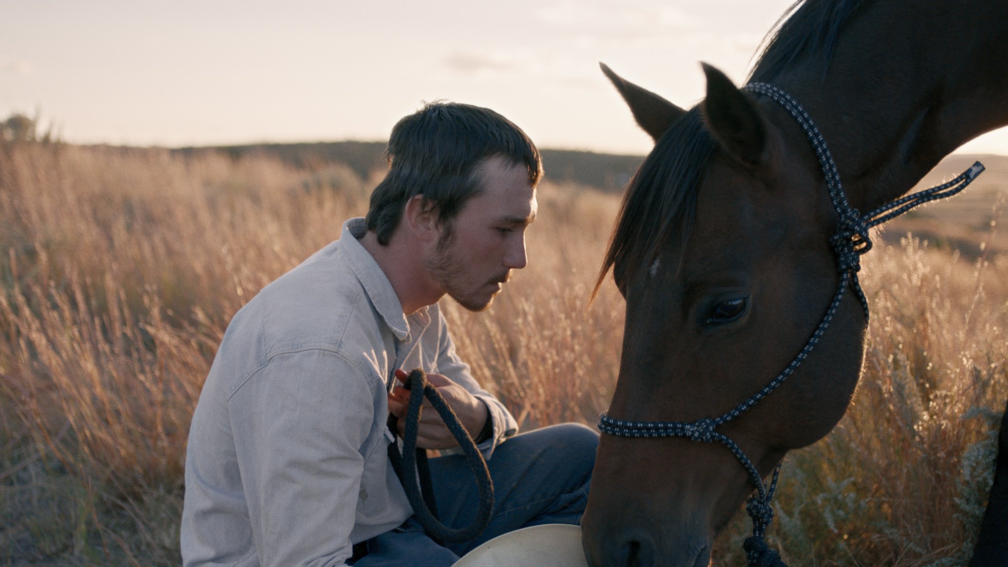 Films Like Nomadland