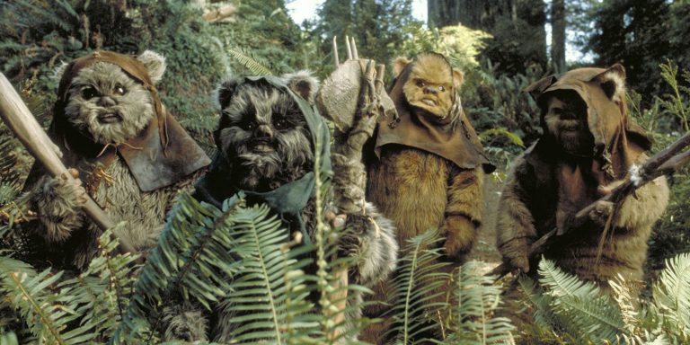 3 Reasons Why Ewoks Make a Great Pet