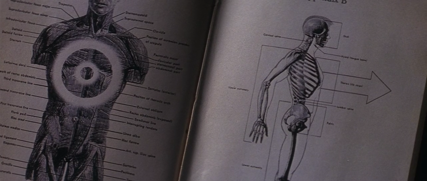 Donnie Darko 2001 3