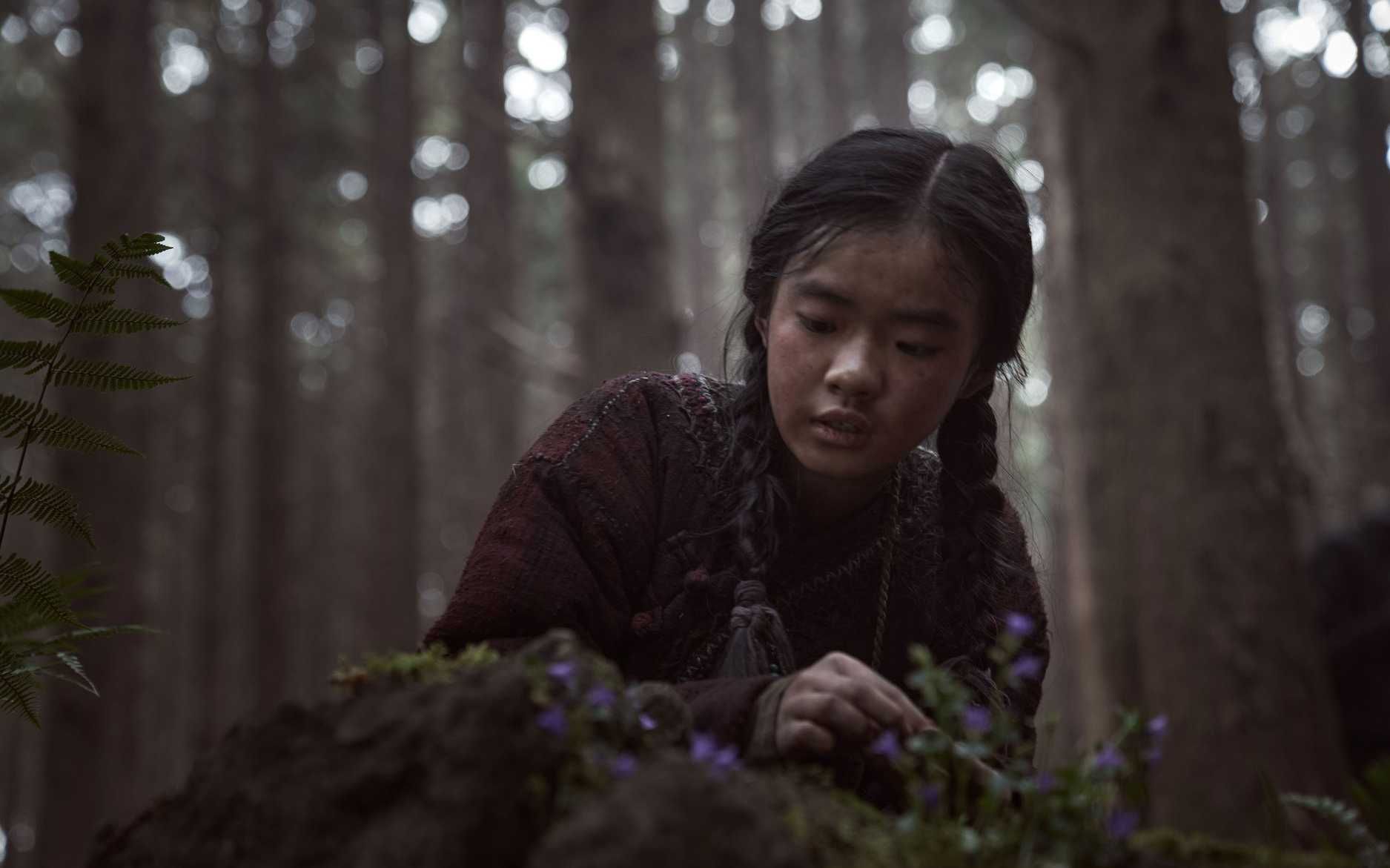Kingdom: Ashin of the North