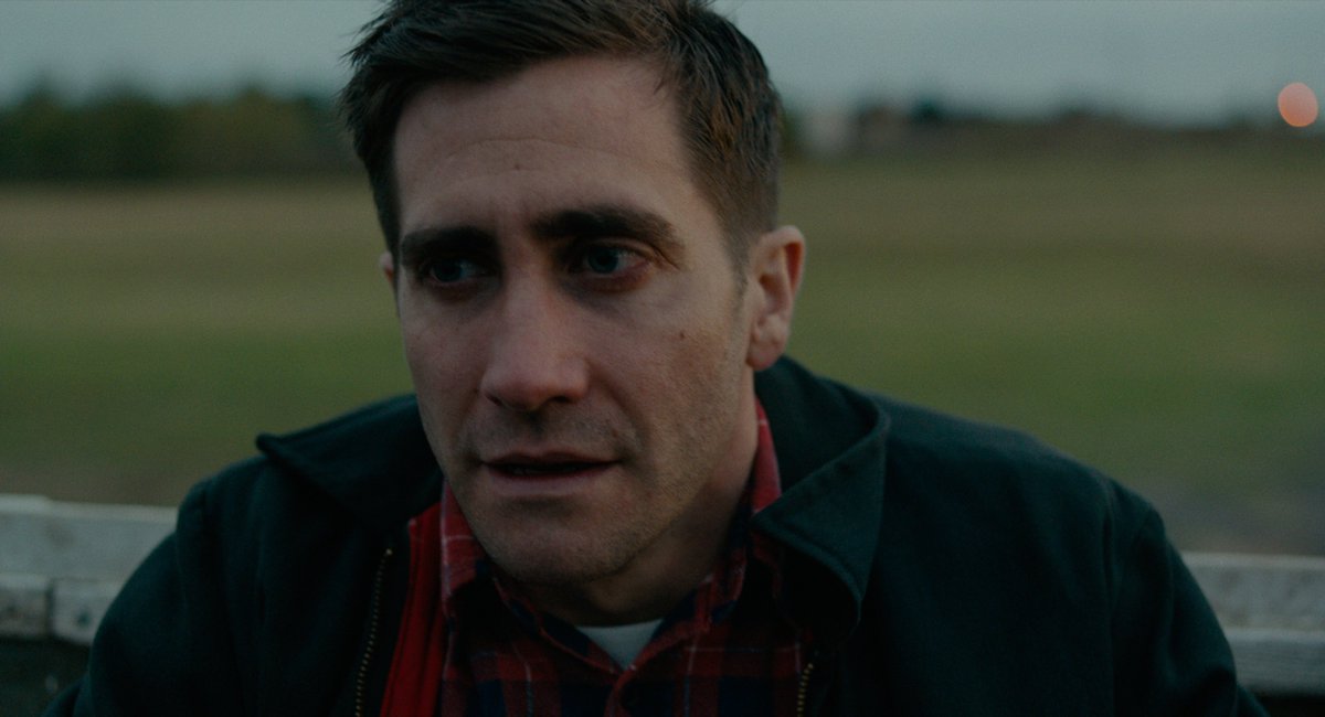 Best Jake Gyllenhaal Movies - Wildlife