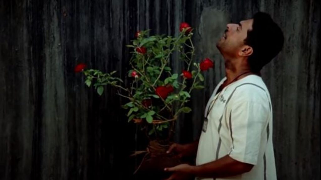 Mammootty in Mathilukal and Vidheyan