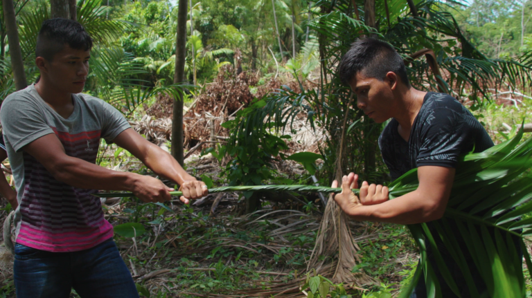 Seeding Change [2021] Review – An inspiring and sustainable way of doing business