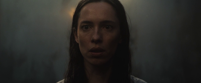 The Night House Movie Explained: Ending, Themes, and Metaphors analyzed