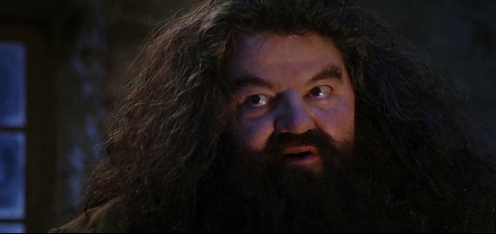 Yer a wizard Best moments in Harry Potter films