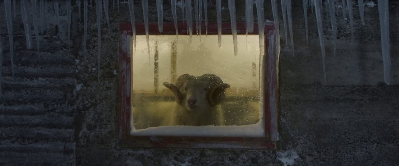 Lamb Movie Explained - Opening