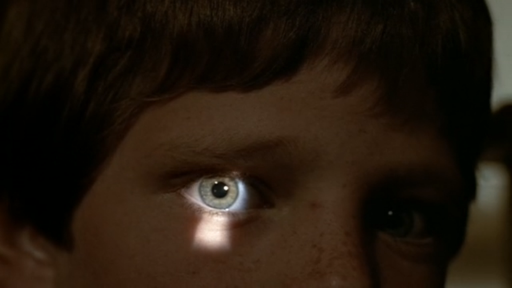 Silent Night, Deadly Night (1984) Christmas Horror Movies