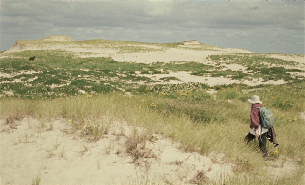 Geographies of Solitude