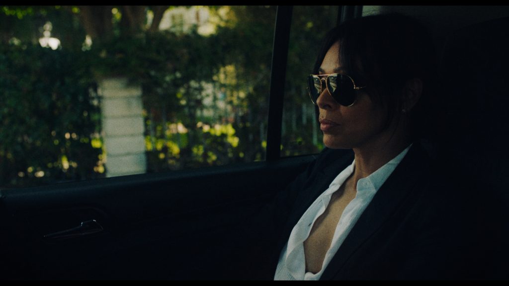 Diary of a Spy Movie Review (1)