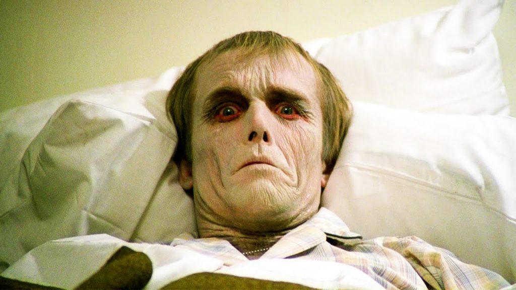 Best Horror Films of the 1970s 03 Dawn of the Dead