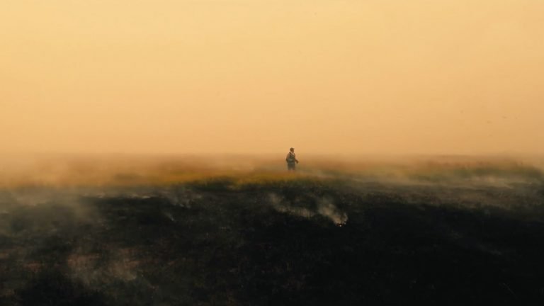 Paradise [2022] ‘IDFA’ Review – A Gorgeously Shot Documentary on Climate Change Induced Wildfires in Siberia
