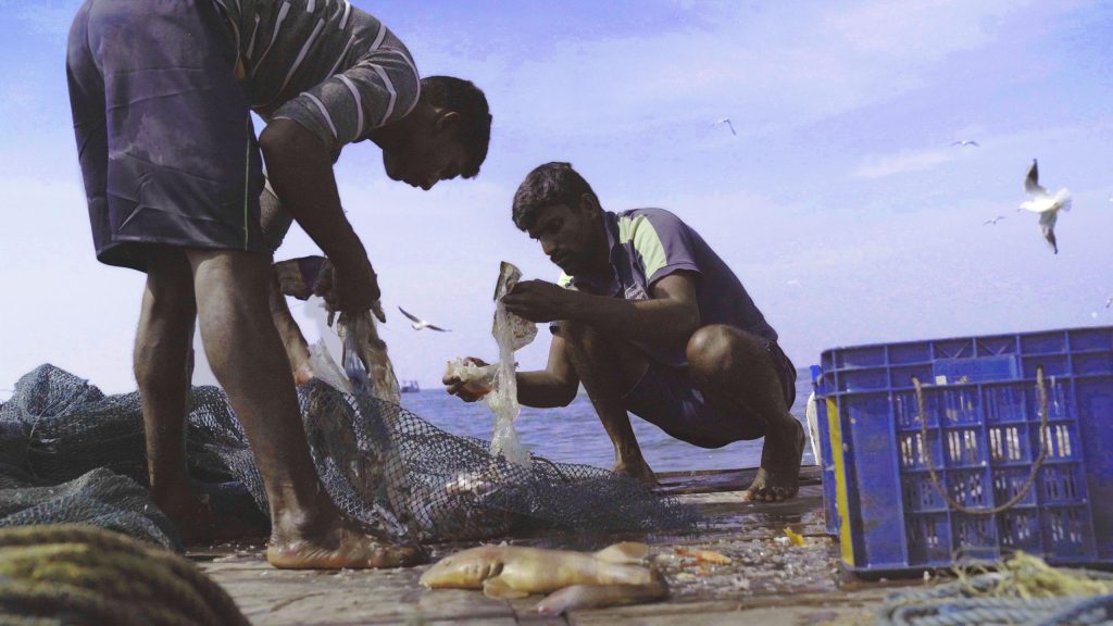 Against the Tide Documentary (2023): 'Sundance' Review 