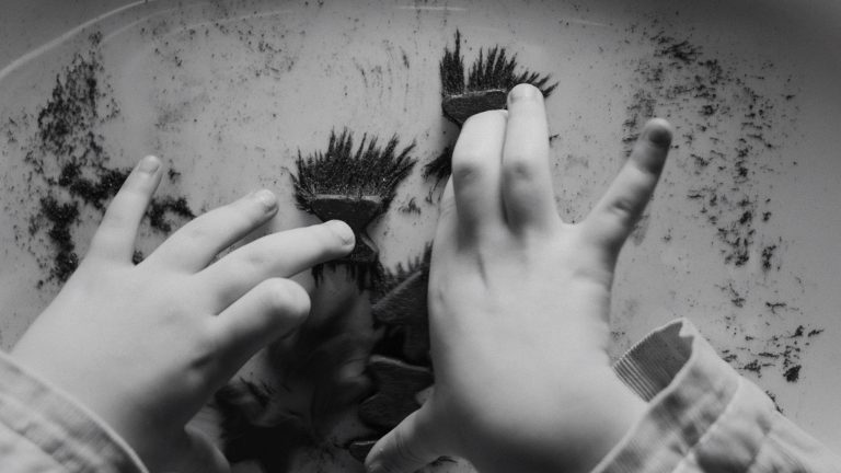 Iron Butterflies (2023): ‘Sundance’ Review – A Chilling and Artful Examination of War’s Casualty