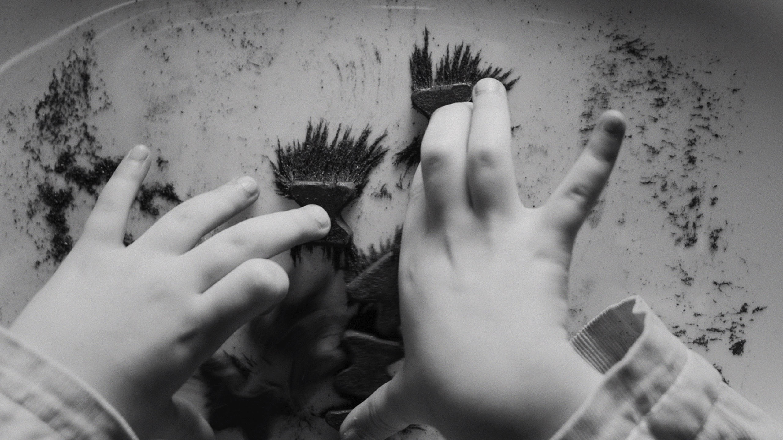 Iron Butterflies Sundance Review (1)
