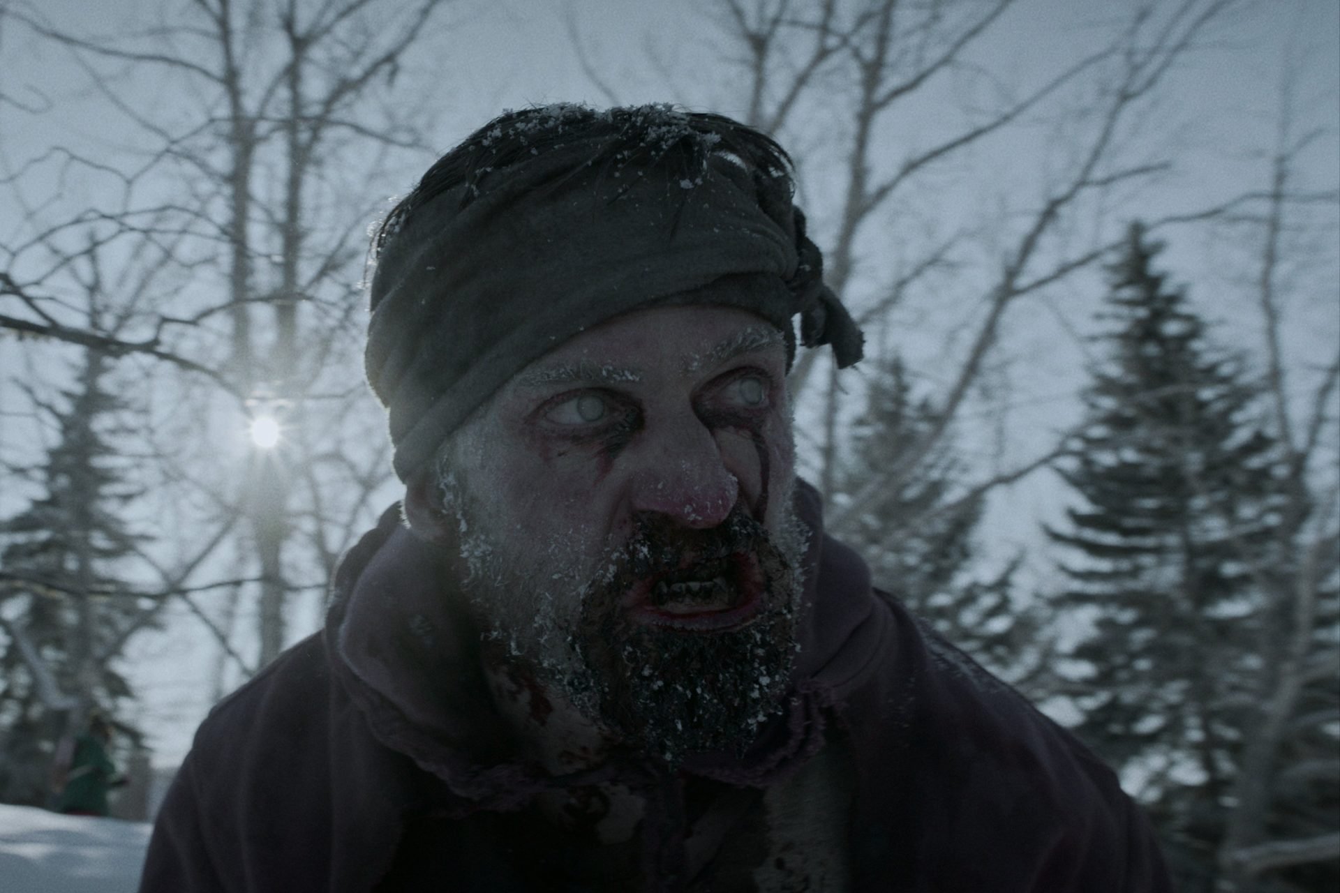 8 Shows Like The Last Of Us - Black Summer