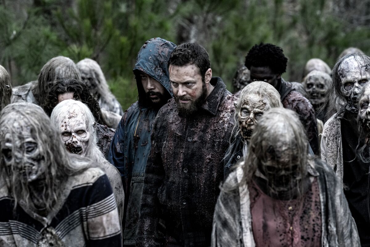8 Shows Like The Last Of Us - The Walking Dead