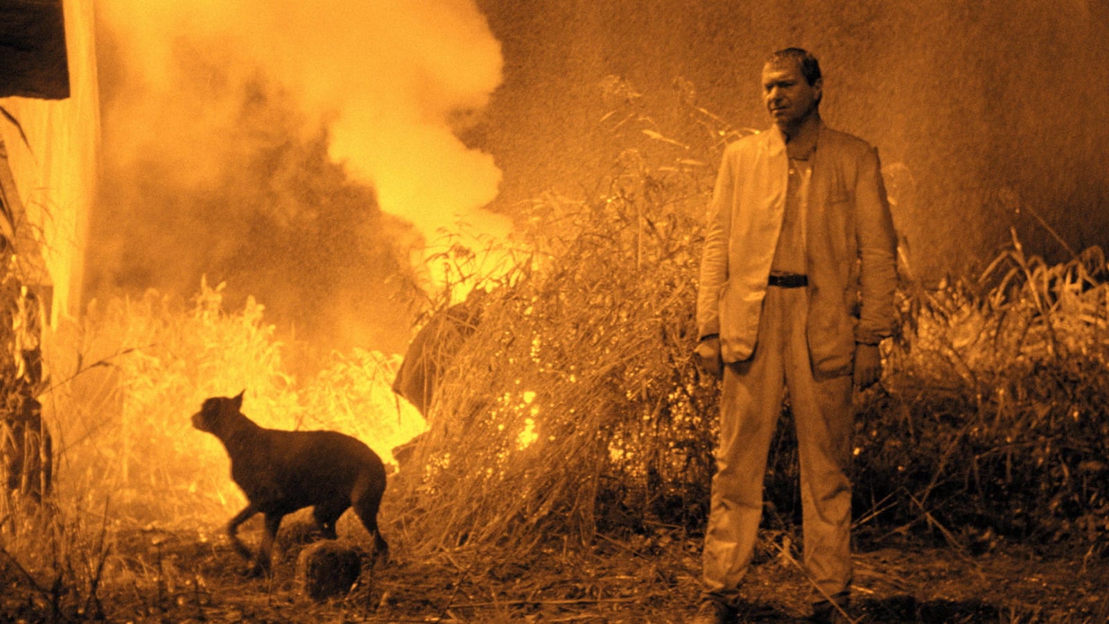 Lars Von Trier Movies, The Element of Crime
