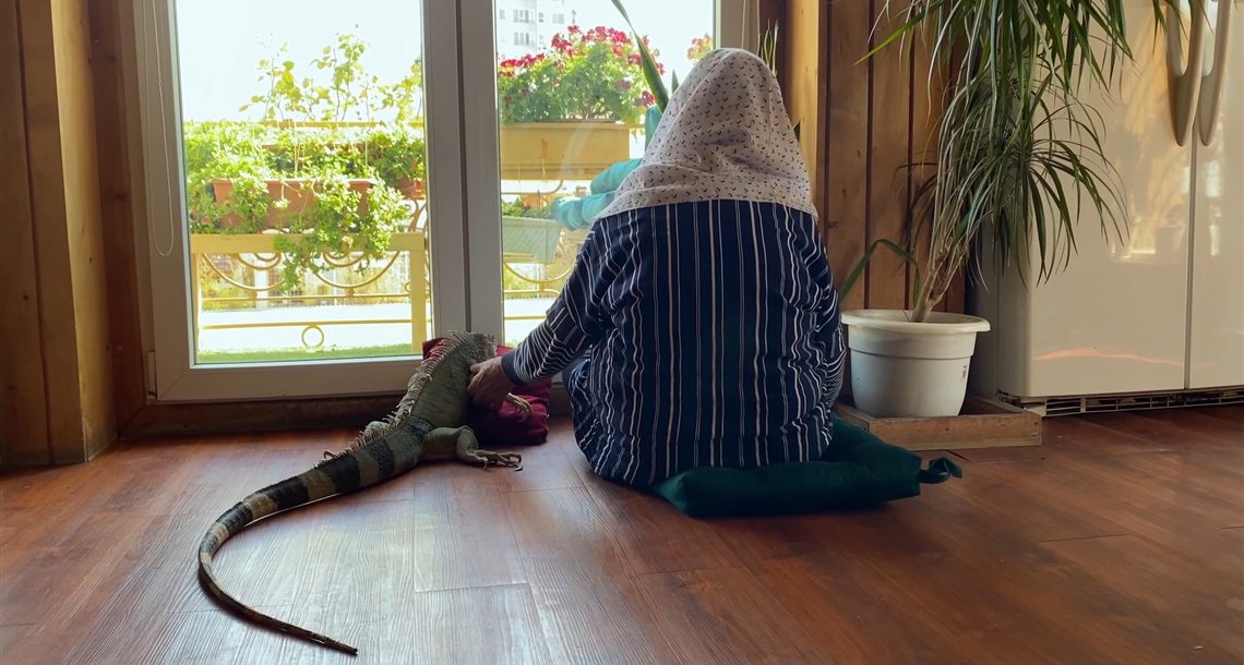 Life Short Film Jafar Panahi