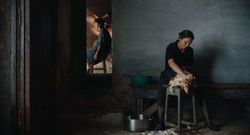 The Permanent Picture (2023) 'Sarajevo Film Festival' Movie Review