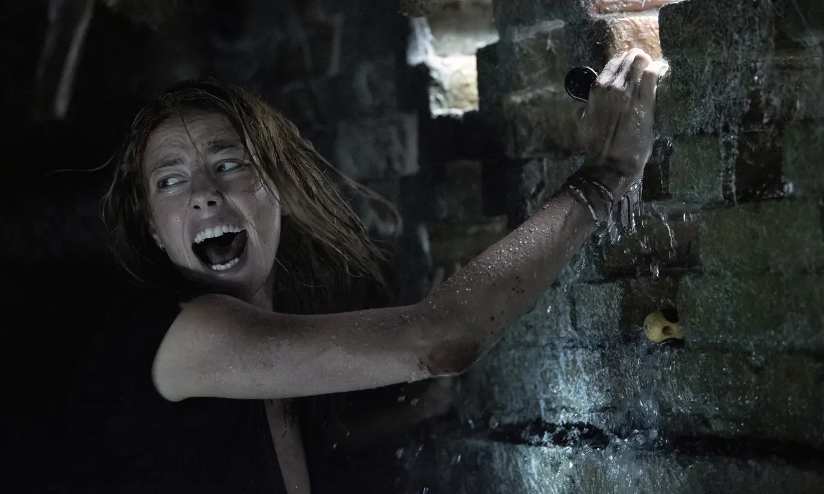 8 Movies to Watch if you like Nowhere on Netflix - Crawl (2019)