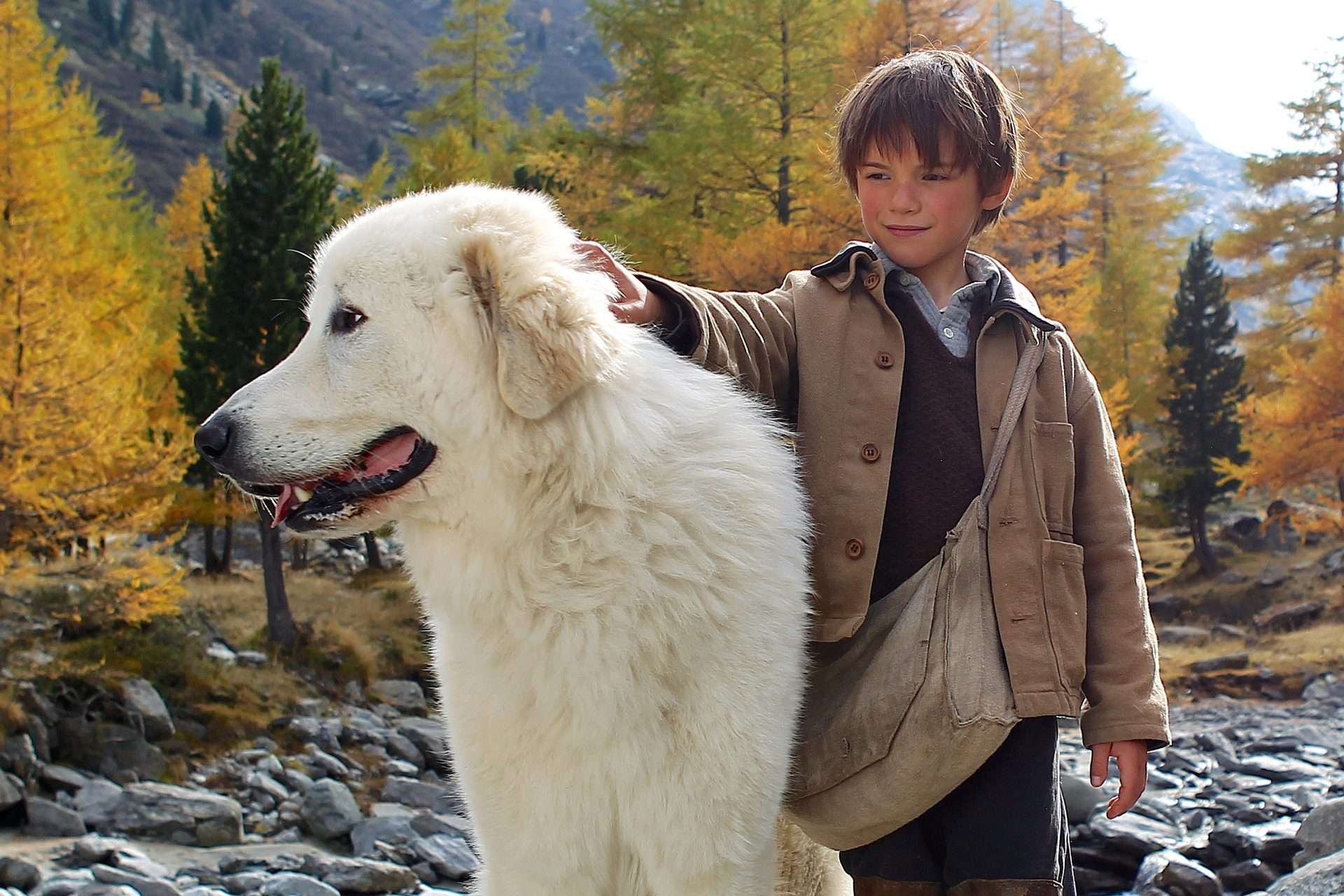 Dog Movies Best 