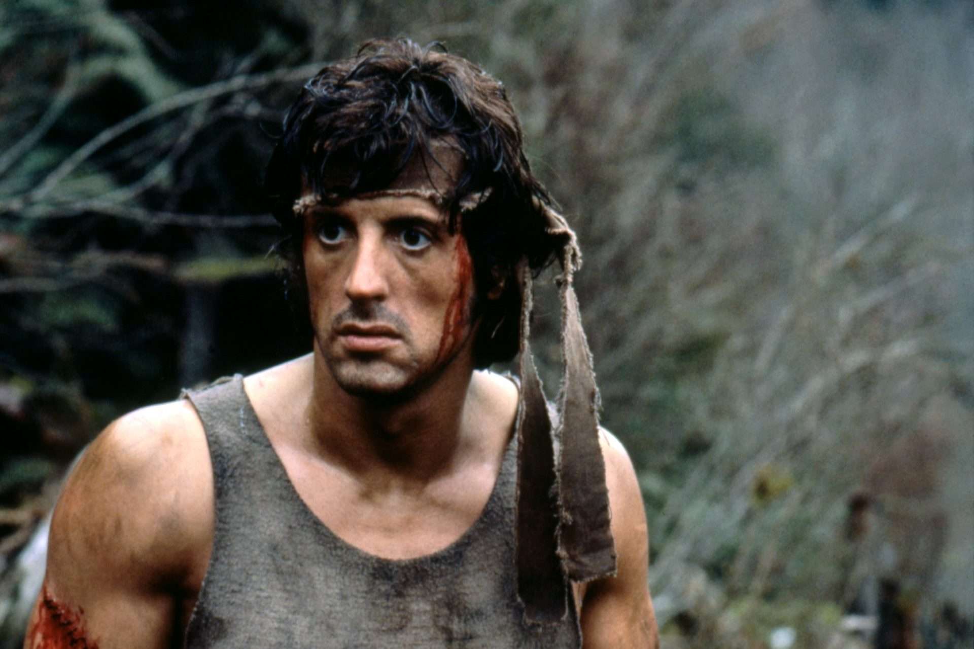 Movies like Sisu - First Blood