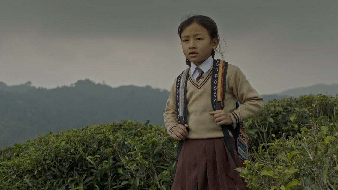 Guras (2023) DIFF review