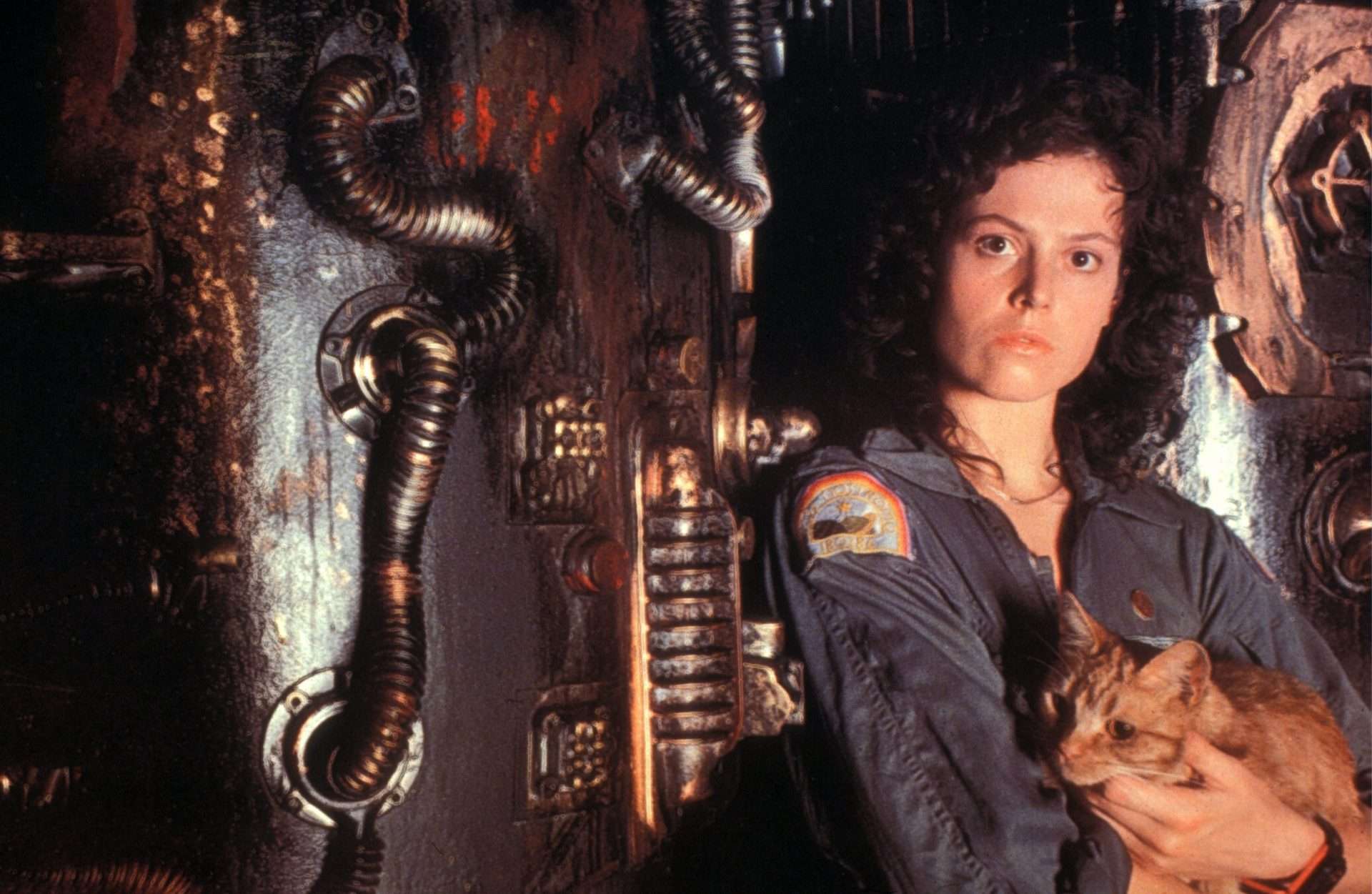 Best Feminist Horror Movies of All Time Alien (1979)