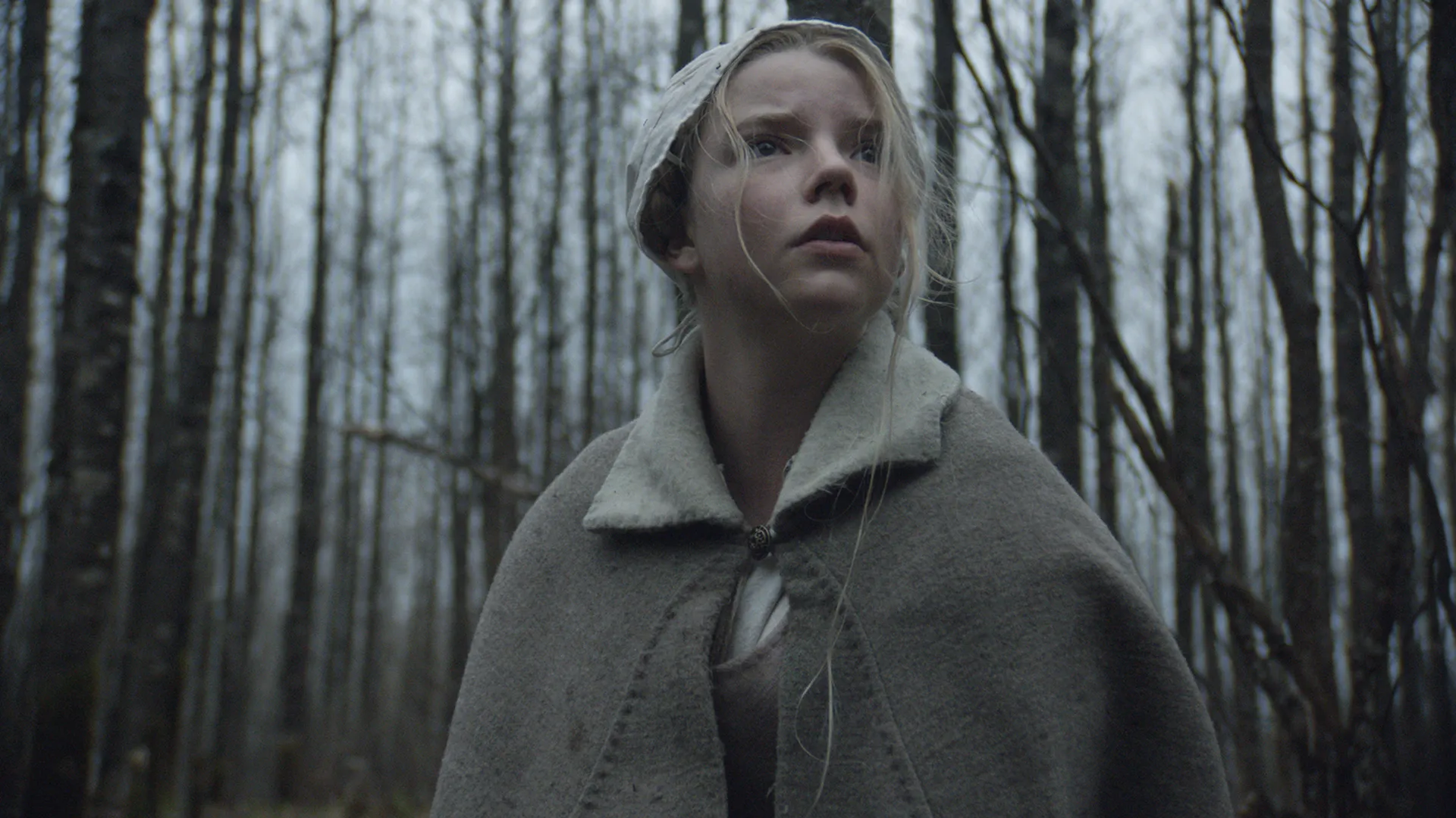 The Witch (2015) Feminist Horror Movies