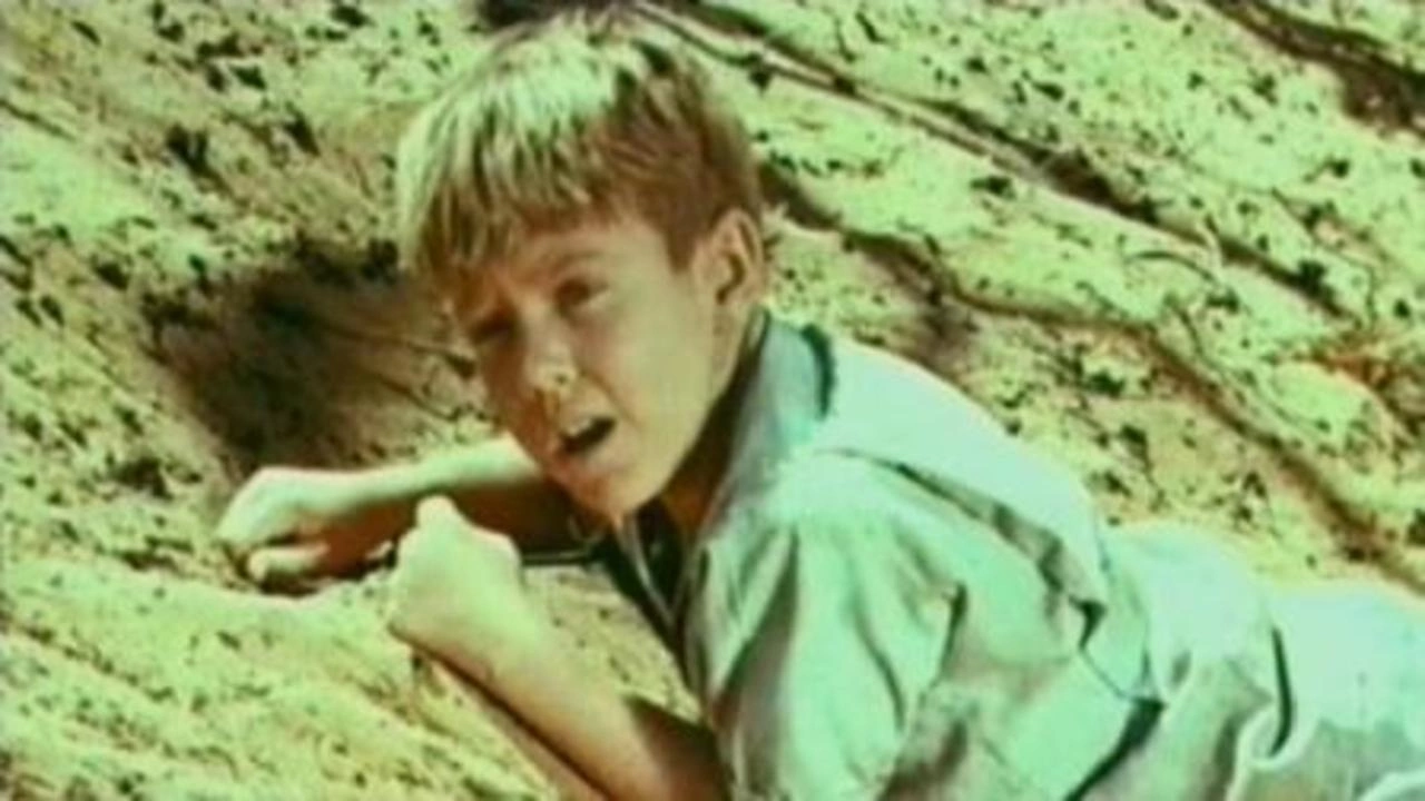 Dirkie (1969)