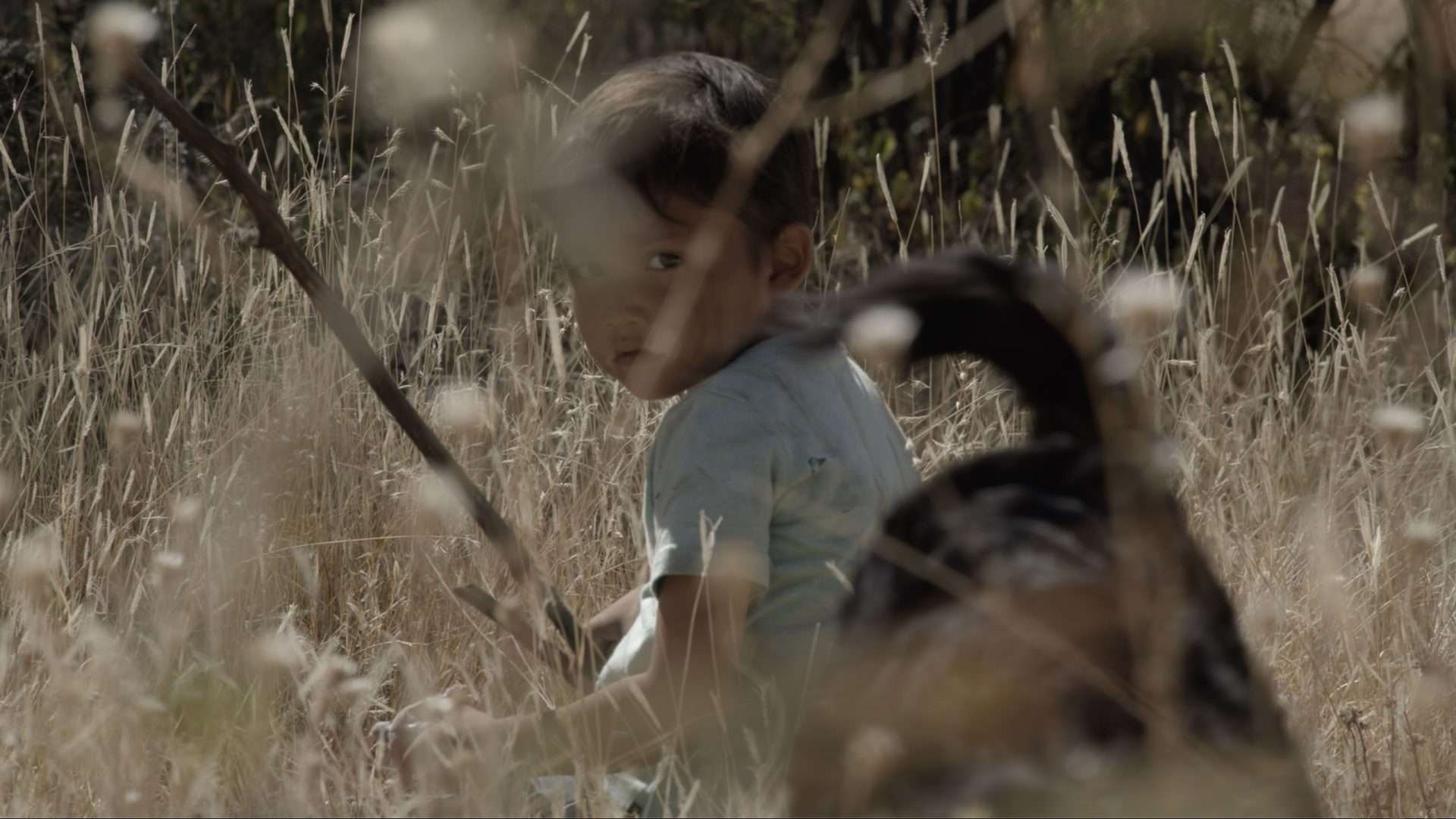A still from Sujo (2024). 