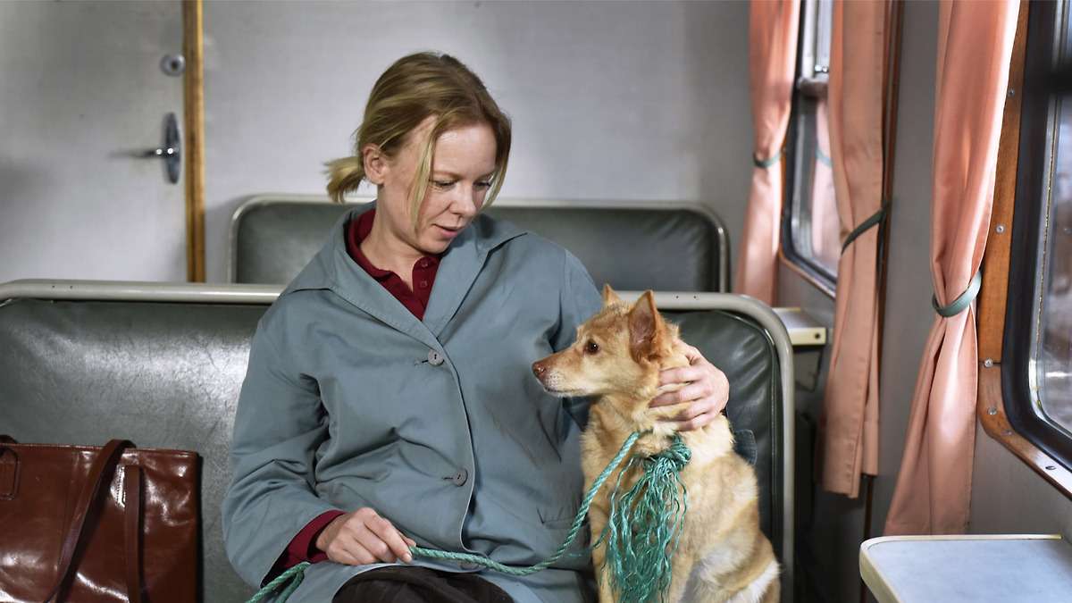 20 Best Comedy Movies of 2023 - Fallen Leaves